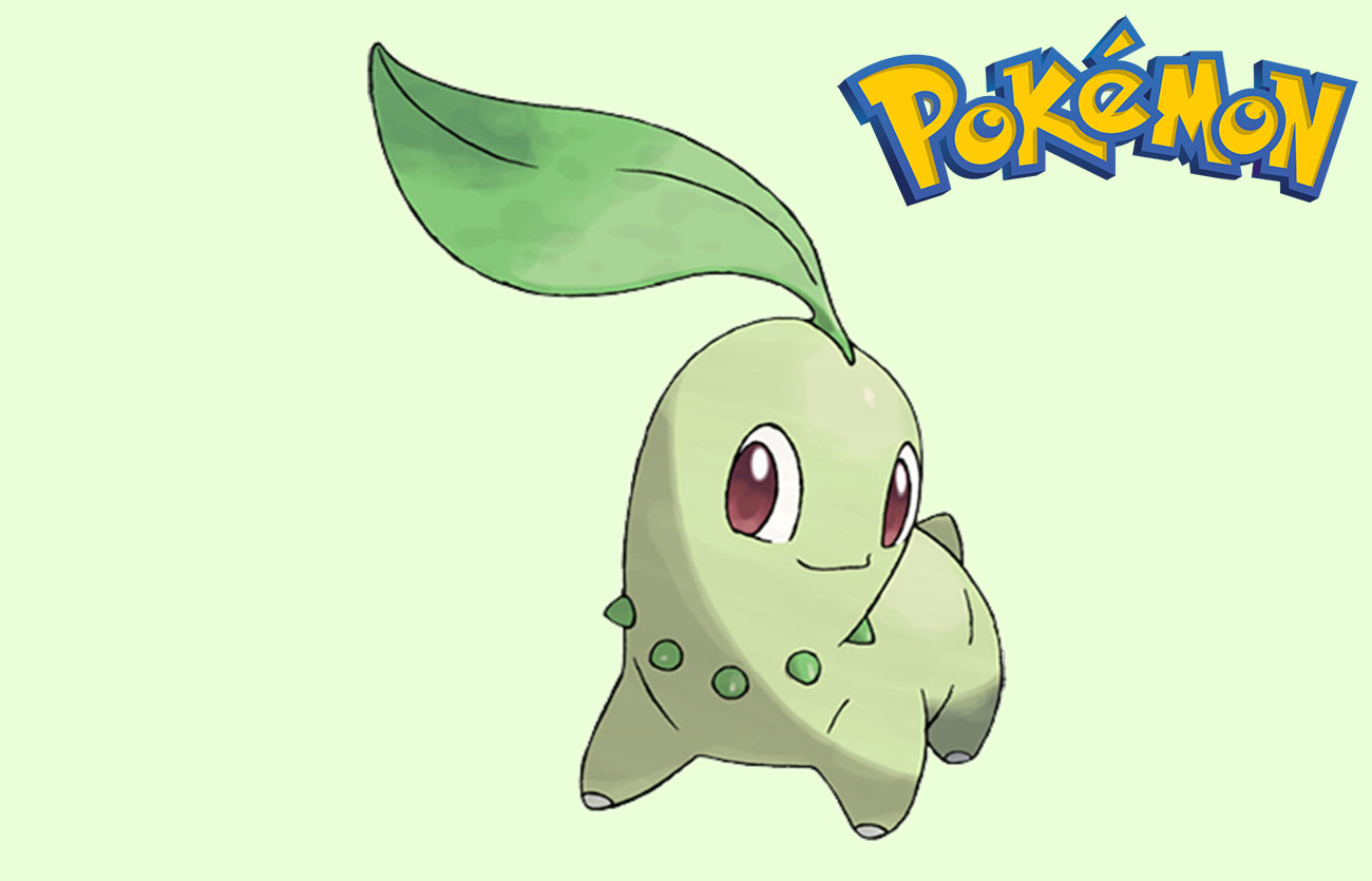 En que Pokémon evoluciona Chikorita