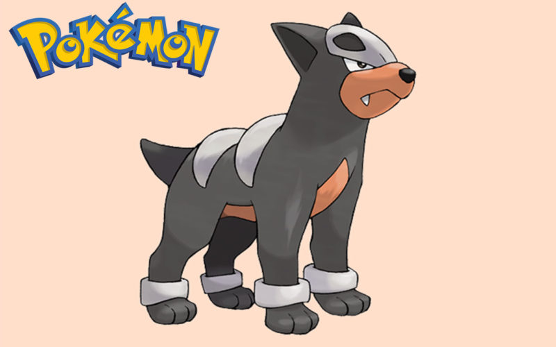 En que Pokémon evoluciona Houndour