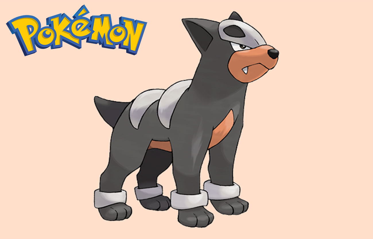 En que Pokémon evoluciona Houndour