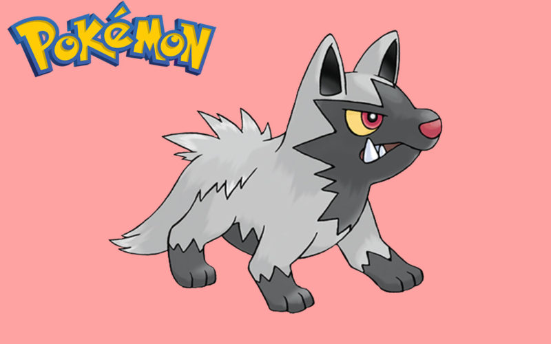 En que Pokémon evoluciona Poochyena