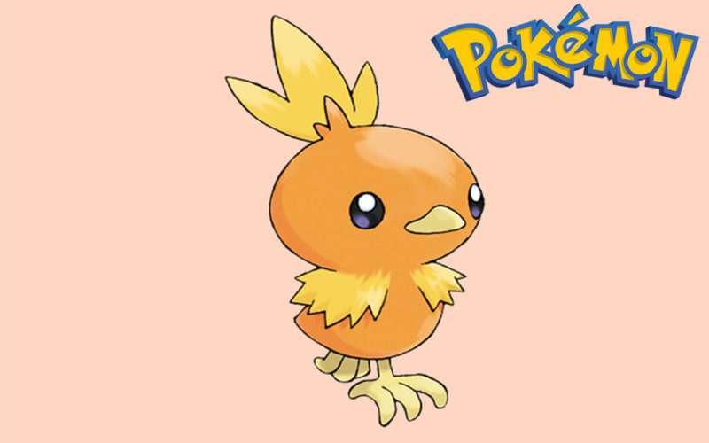 En que Pokémon evoluciona Torchic