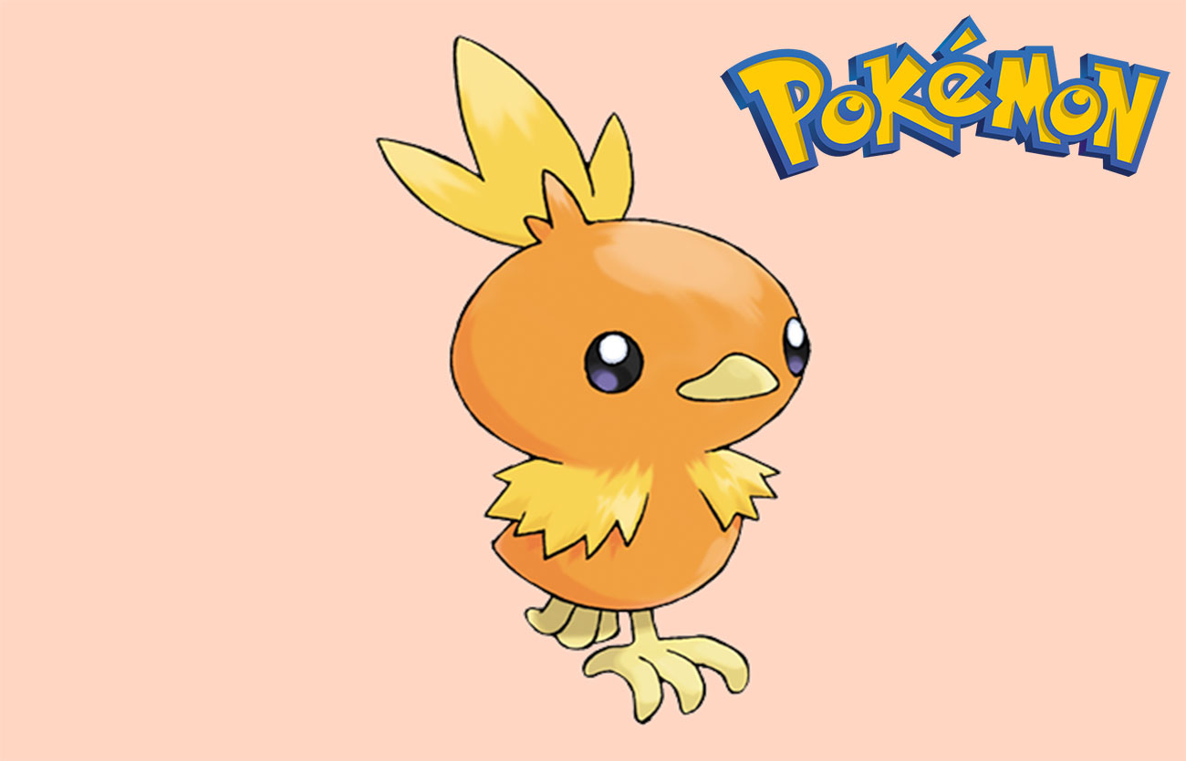 En que Pokémon evoluciona Torchic