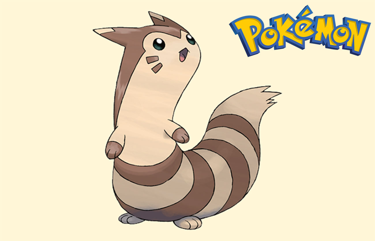 Pokémon Furret