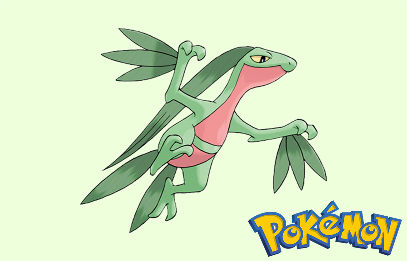 Pokémon Grovyle