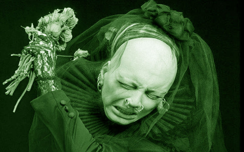 Qué estilo musical tocan Sopor Aeternus and the Ensemble of Shadows