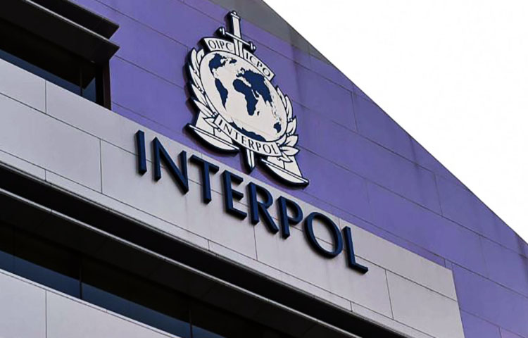 Diferencias entre Interpol y CIA