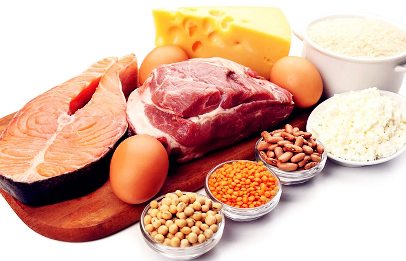 Diferencias entre grasa y proteína