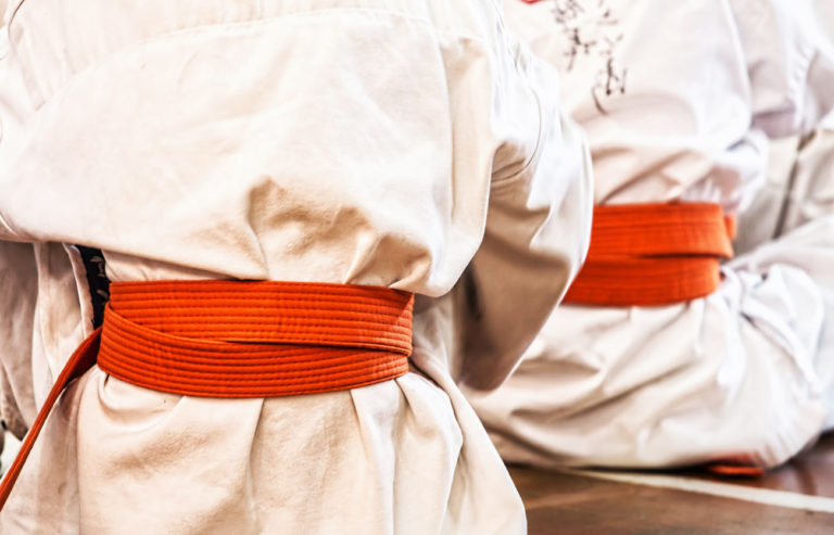 Diferencias entre karate y judo – Sooluciona