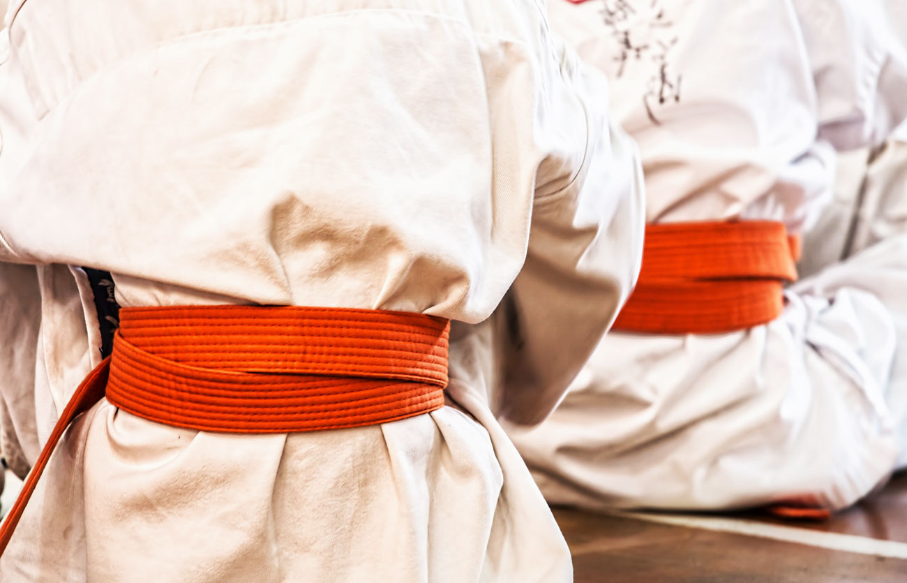 Diferencias entre judo y karate