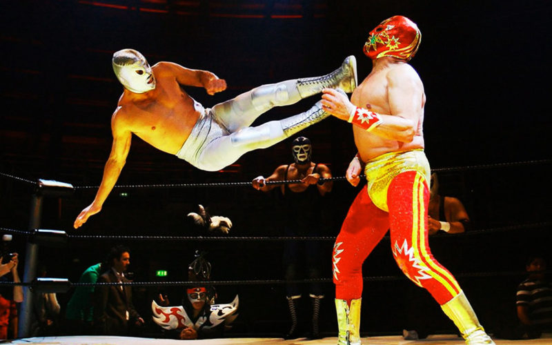 Diferencias entre lucha libre y sambo