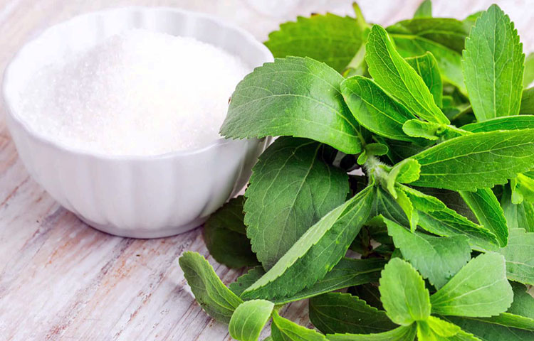 Diferencias entre truvia y stevia