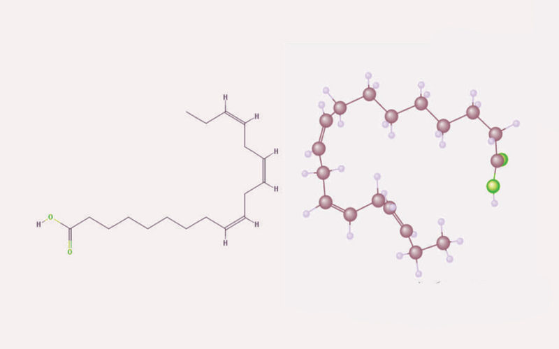 Diferencias entre ácido alfa linolénico y ácido alfa lipoico
