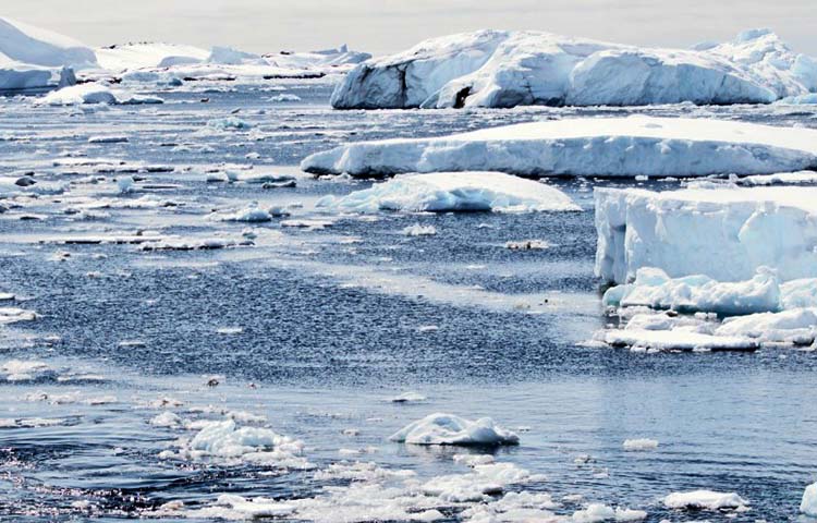 Diferencias entre calentamiento global y efecto invernadero