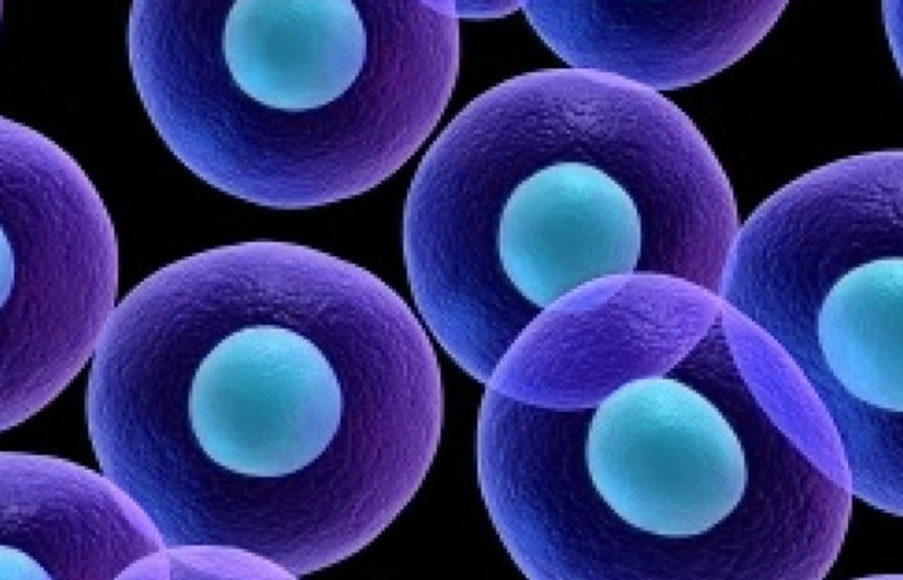 Diferencias entre células madre hematopoyéticas y mesenquimales