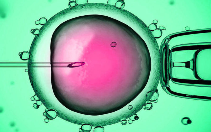 Diferencias entre células madre multipotentes y pluripotentes