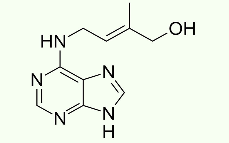 Diferencias entre citoquinina y auxina