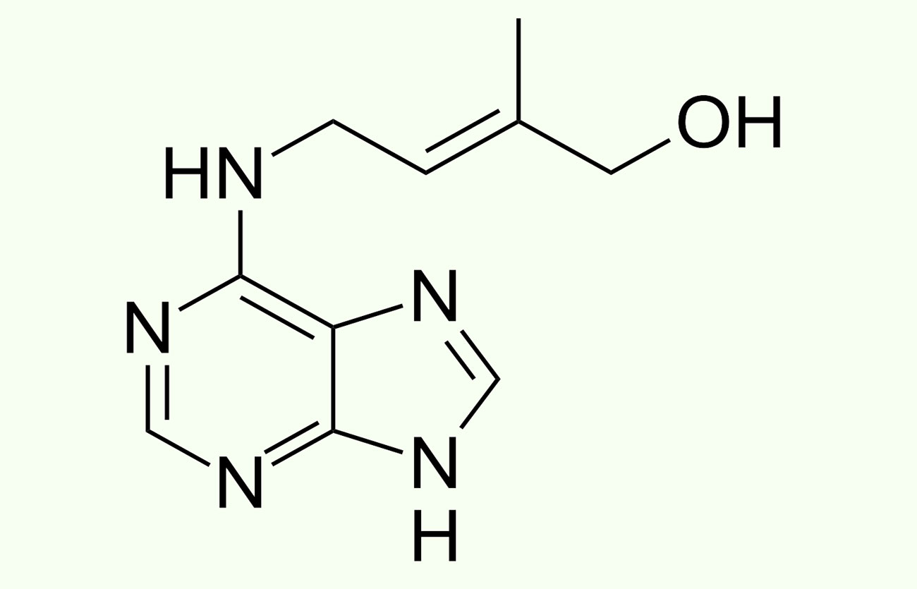 Diferencias entre citoquinina y auxina