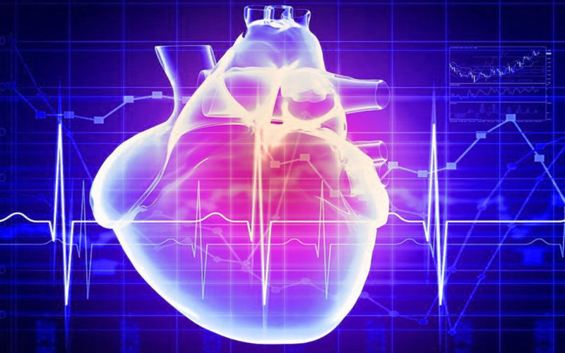 Diferencias entre ecocardiograma y EKG