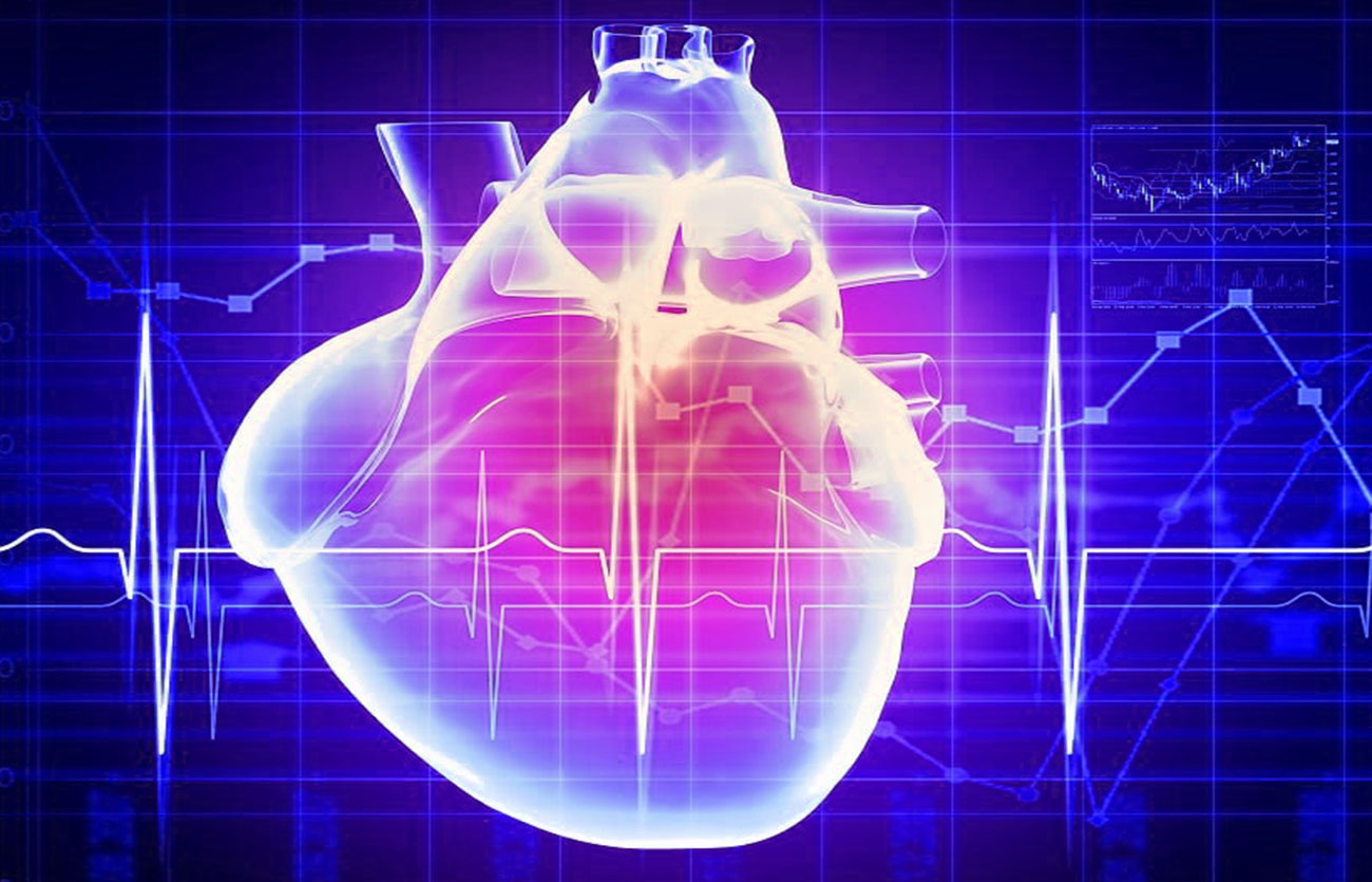 Diferencias entre ecocardiograma y EKG