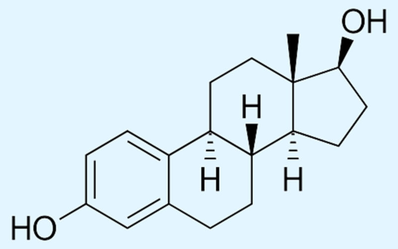 Diferencias entre estradiol y premarin