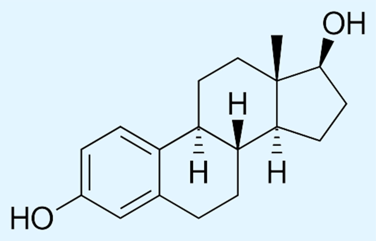 Diferencias entre estradiol y premarin