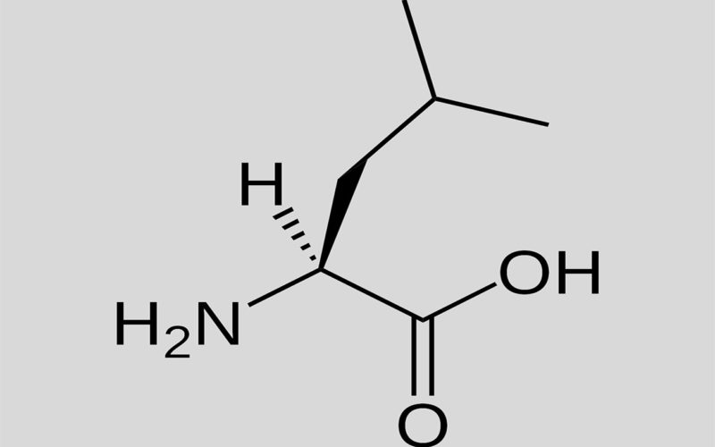 Diferencias entre isoleucina y leucina