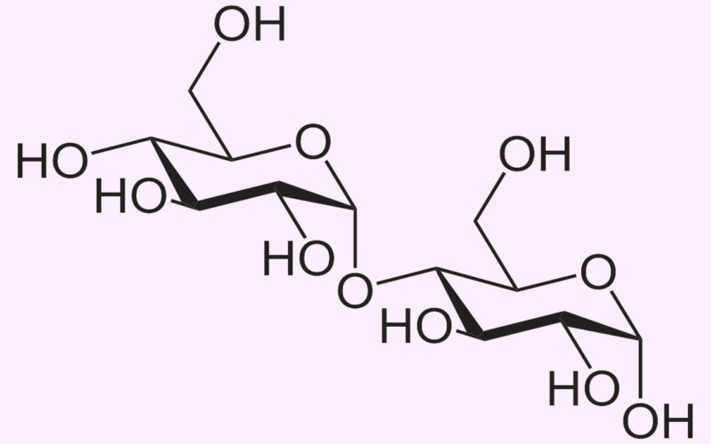 Diferencias entre isomaltosa y maltosa