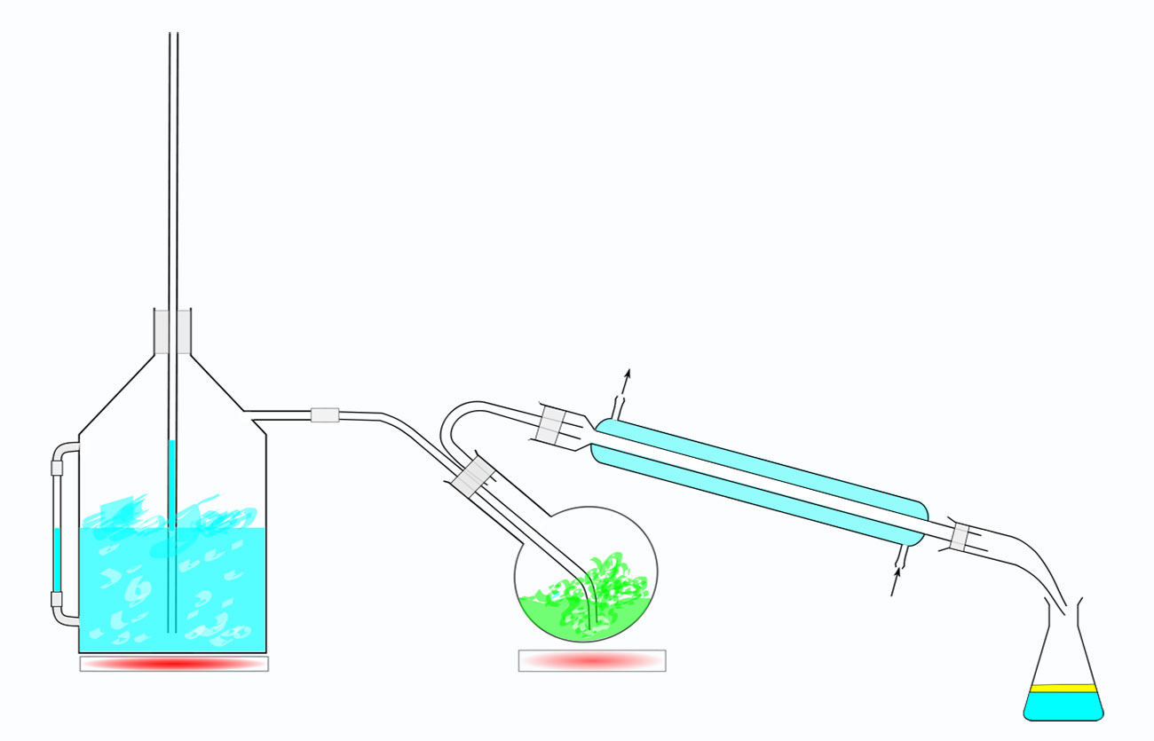 Diferencias entre la destilación fraccionada y la destilación al vapor