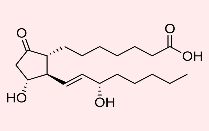 Diferencias entre la prostaglandina E2 y la prostaglandina E1