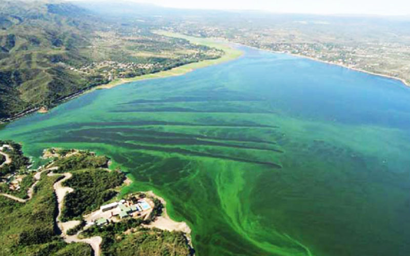 Diferencias entre lagos eutróficos y oligotróficos