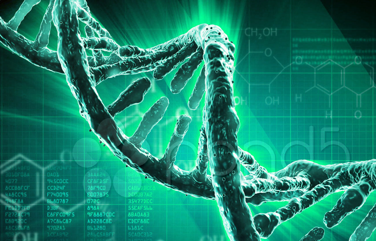 Diferencias entre similitud y homología en bioinformática