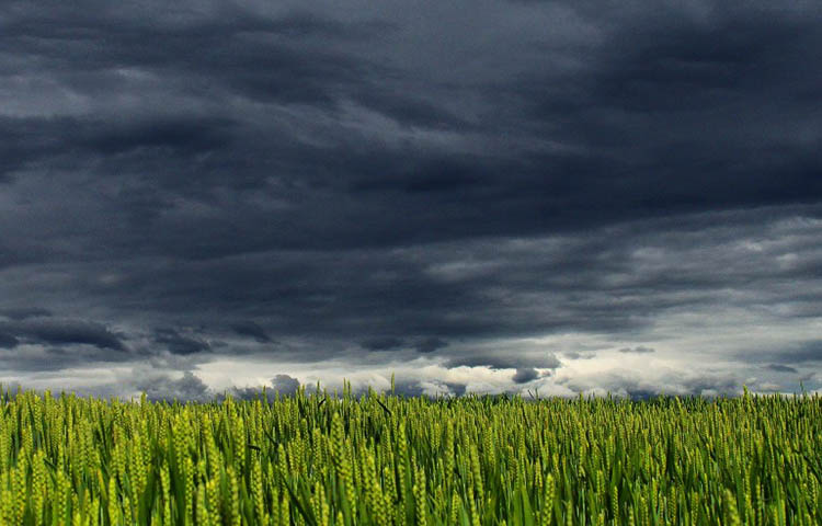 Diferencias entre tormentas dispersas y tormentas aisladas