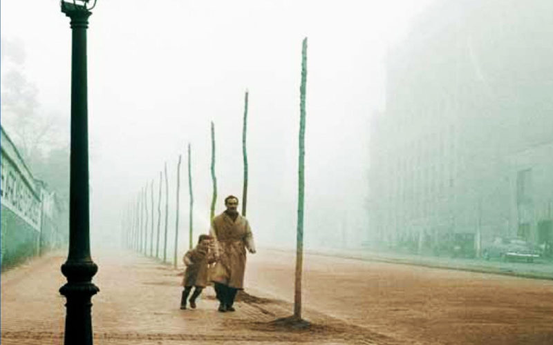 Quién es el autor de La sombra del viento