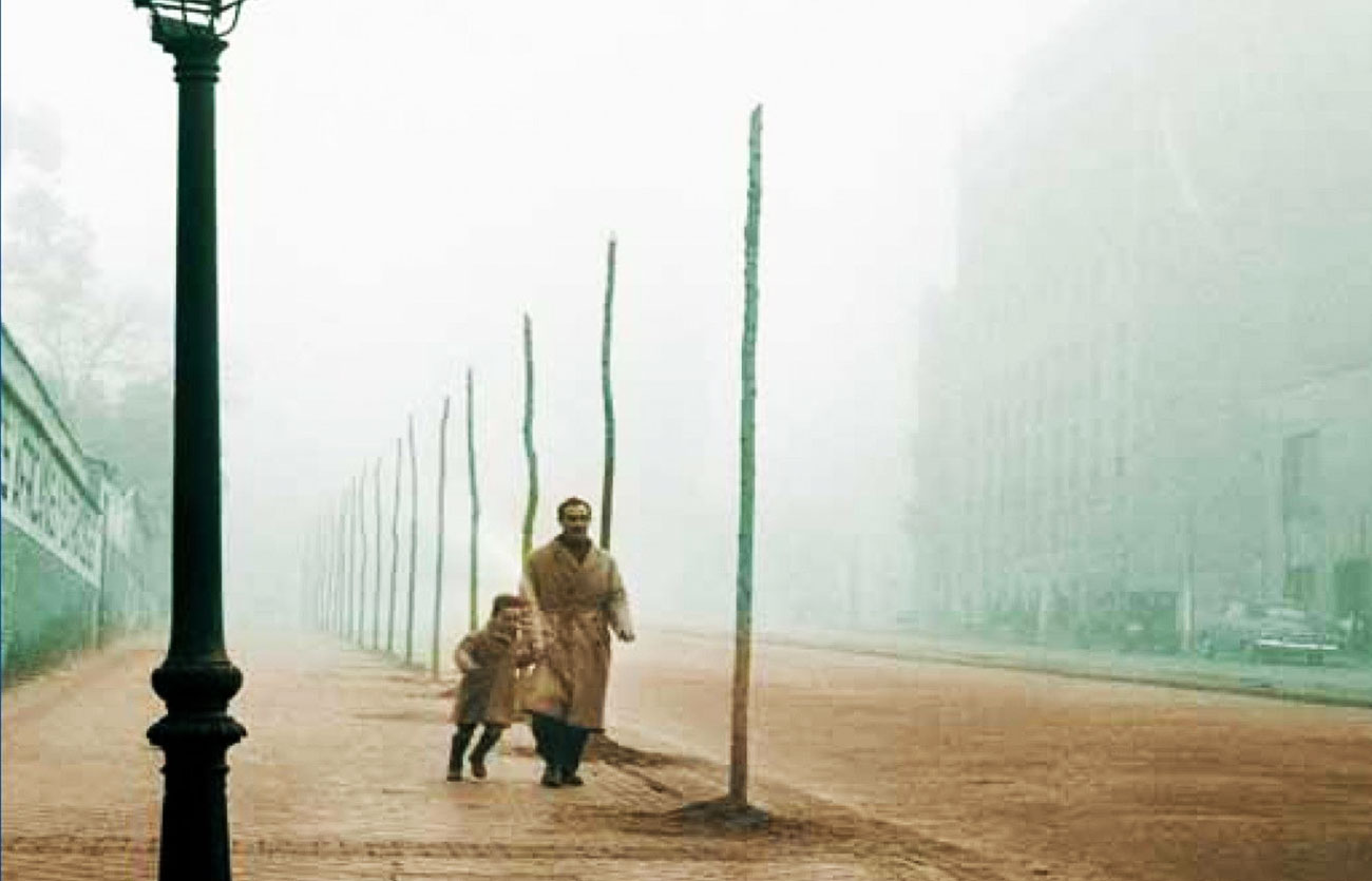 Quién es el autor de La sombra del viento