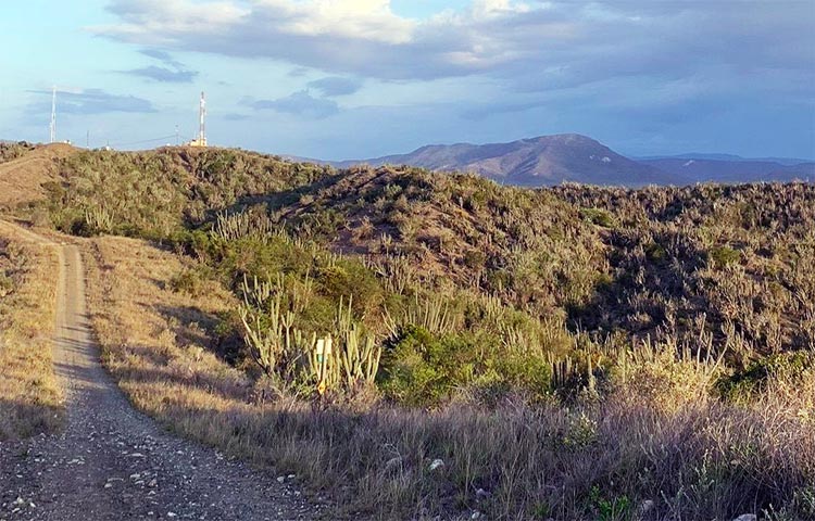 Cuántos municipios tiene la provincia de Guantánamo ...