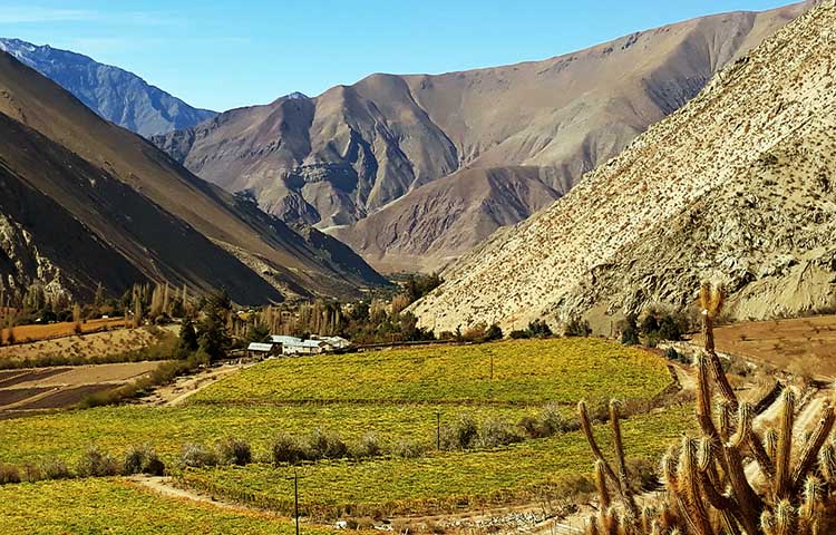 Cuántas comunas tiene la provincia de Elqui