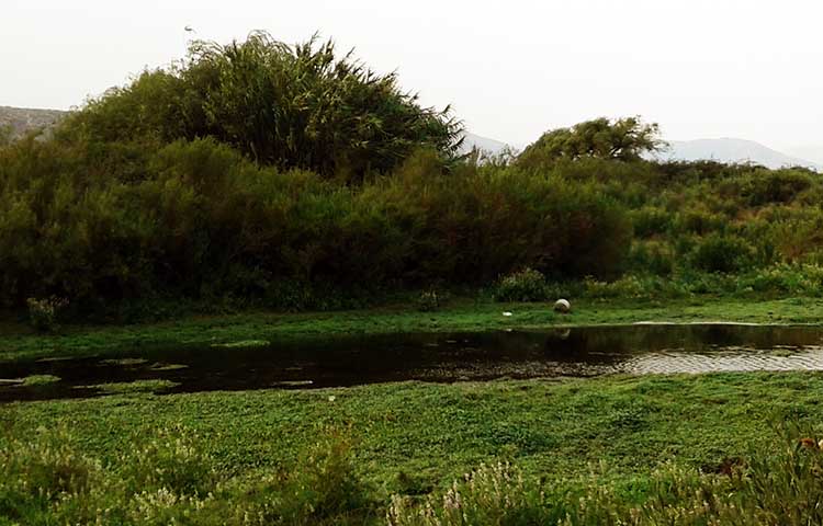 Cuántas comunas tiene la provincia de Marga Marga