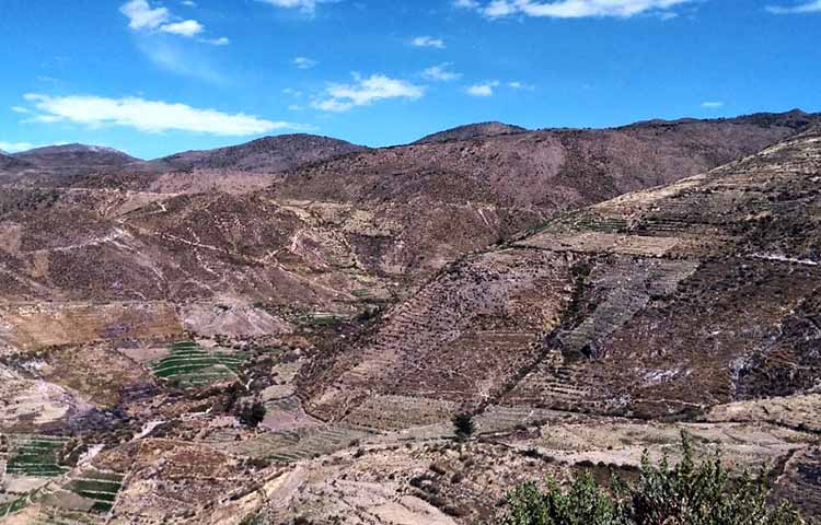 Cuántas provincias tiene Tacna