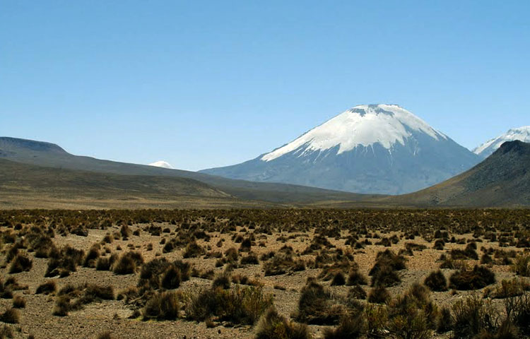 Cuántas provincias tiene la Región de Arica y Parinacota