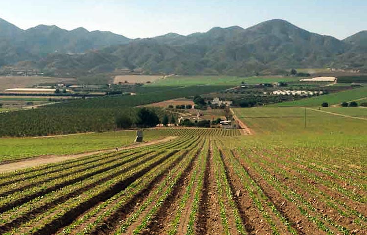 Cuántas provincias tiene la Región de Murcia