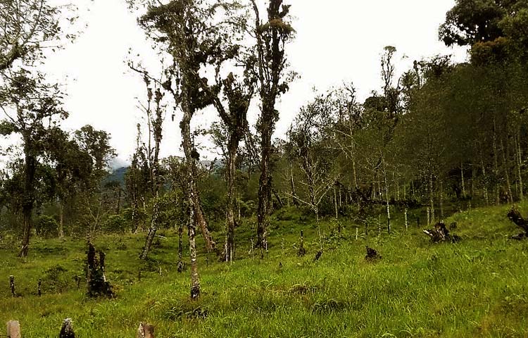 Cuántos cantones tiene la Provincia de Morona Santiago