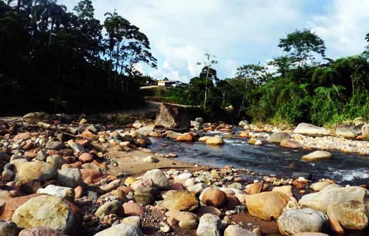 Cuántos cantones tiene la Provincia de Napo