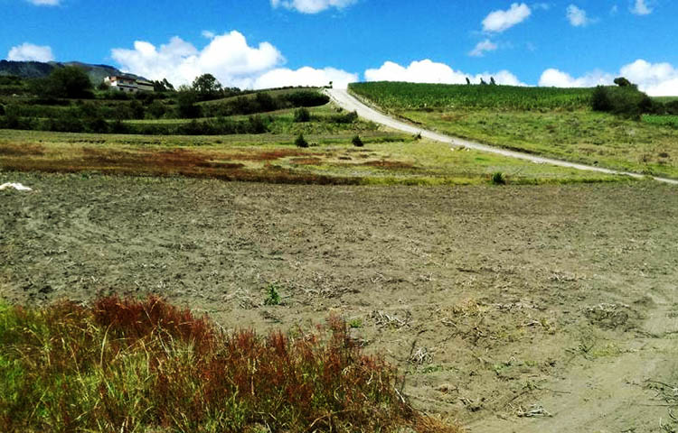 Cuántos cantones tiene la Provincia de Tungurahua