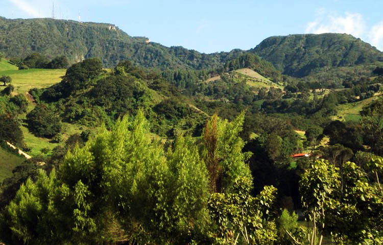 Cuántos cantones tiene la provincia de Cartago