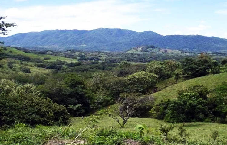 Cuántos cantones tiene la provincia de Guanacaste