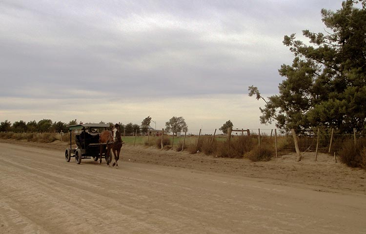 Cuántos departamentos tiene la Provincia de La Pampa