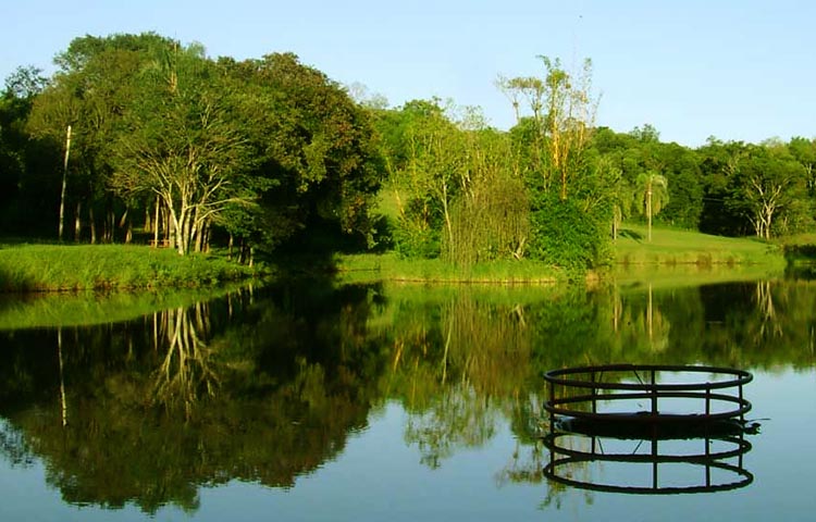 Cuántos departamentos tiene la Provincia de Misiones