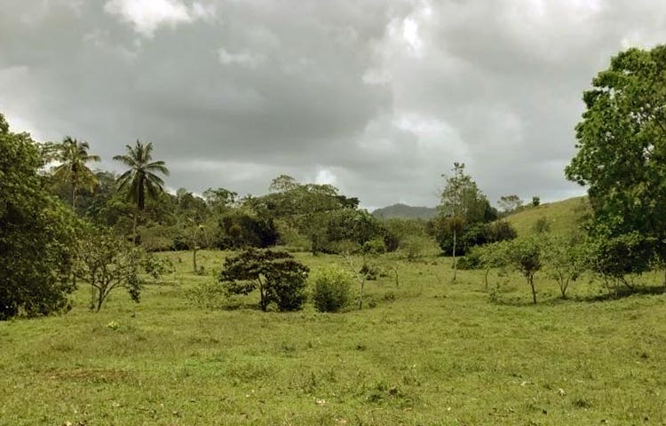 Cuántos distritos tiene la provincia de Los Santos