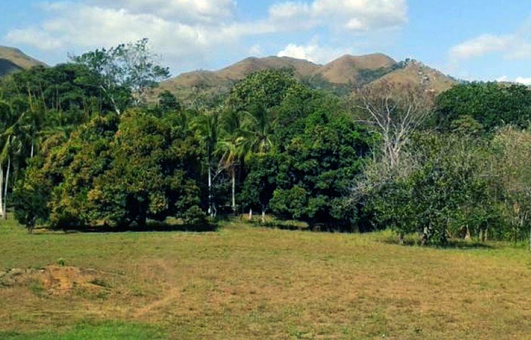 Cuántos distritos tiene la provincia de Panamá Oeste