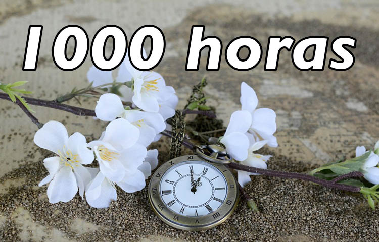 Cuántos días son 1000 horas